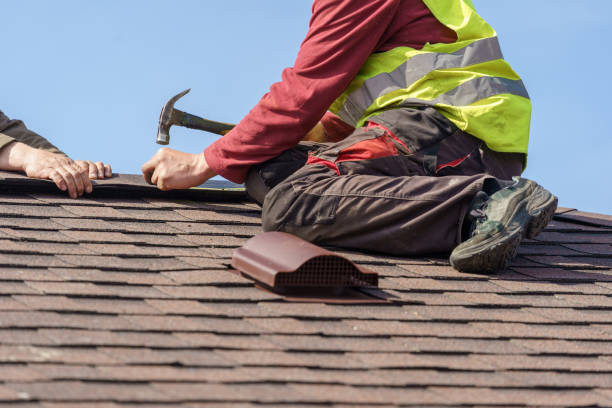 Best Roof Repair Services  in Wolf Lake, MI