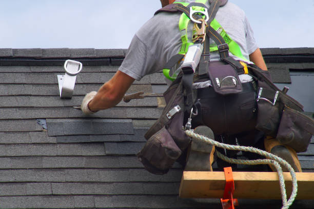 Best Flat Roof Repair Services  in Wolf Lake, MI