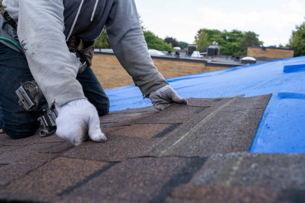 Best Storm Damage Roof Repair  in Wolf Lake, MI