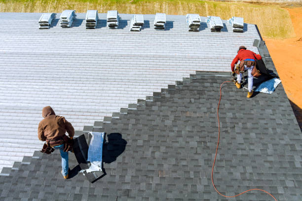 Best Roof Repair Services  in Wolf Lake, MI