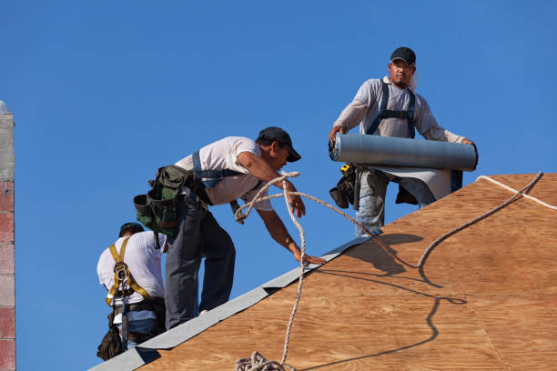 Best Roofing Contractor Near Me  in Wolf Lake, MI
