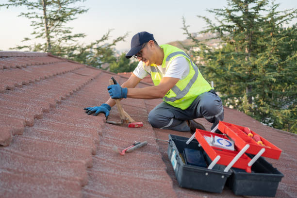 Quick and Trustworthy Emergency Roof Repair Services in Wolf Lake, MI