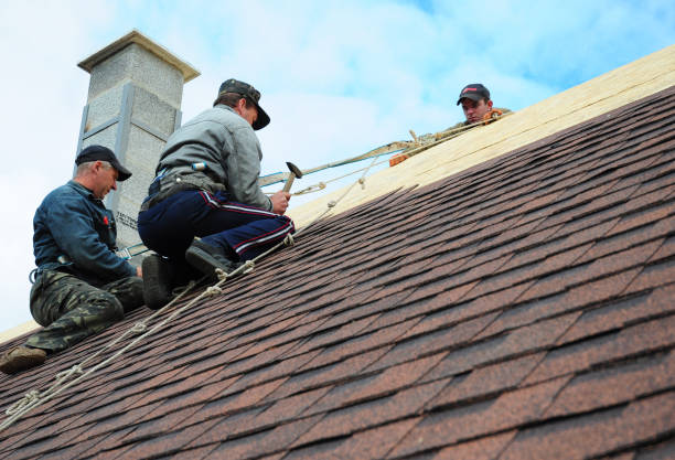 Best Commercial Roofing Services  in Wolf Lake, MI