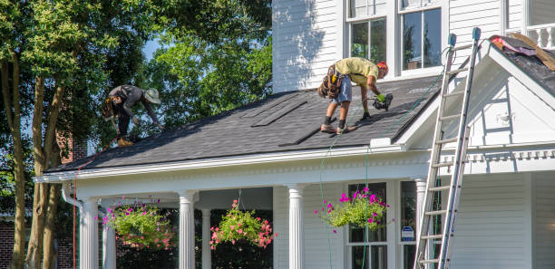Best Local Roofing Companies  in Wolf Lake, MI