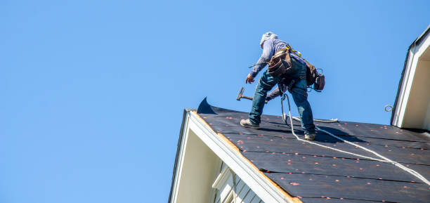 Best Roof Maintenance Services  in Wolf Lake, MI